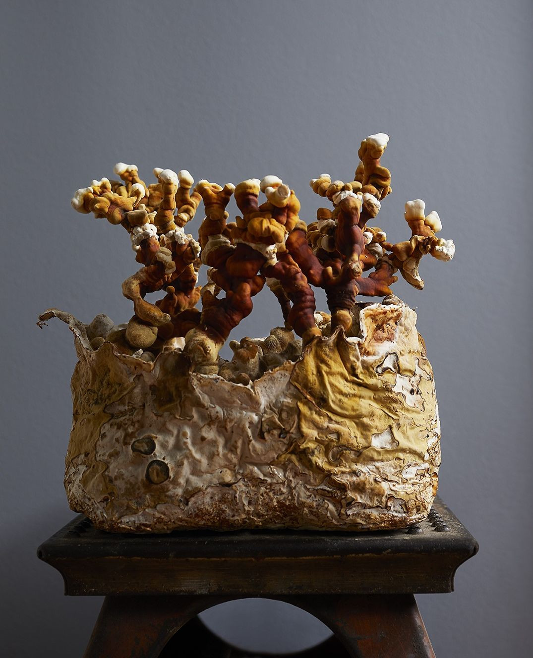 Beth Galton