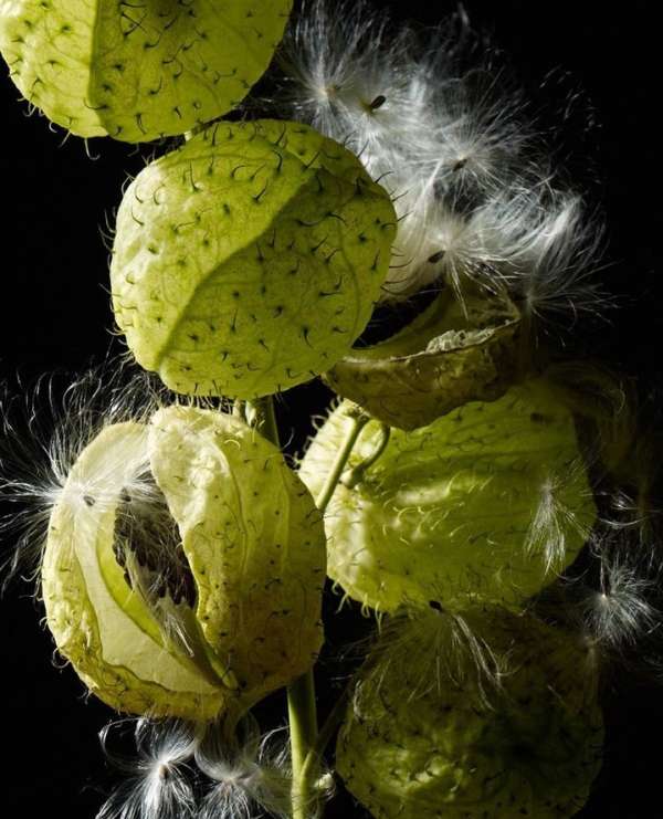 Beth Galton