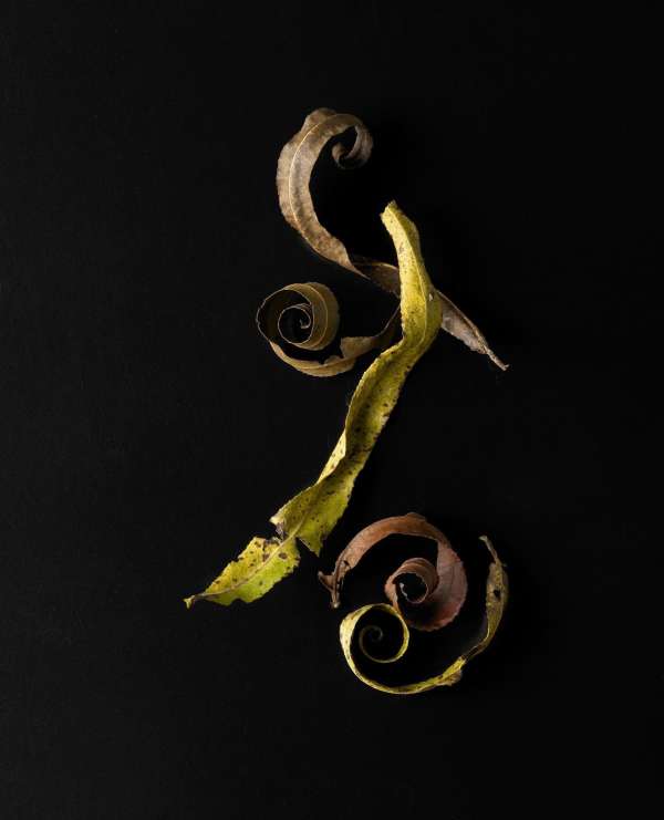 Beth Galton