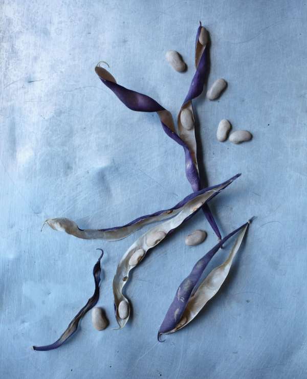 Beth Galton