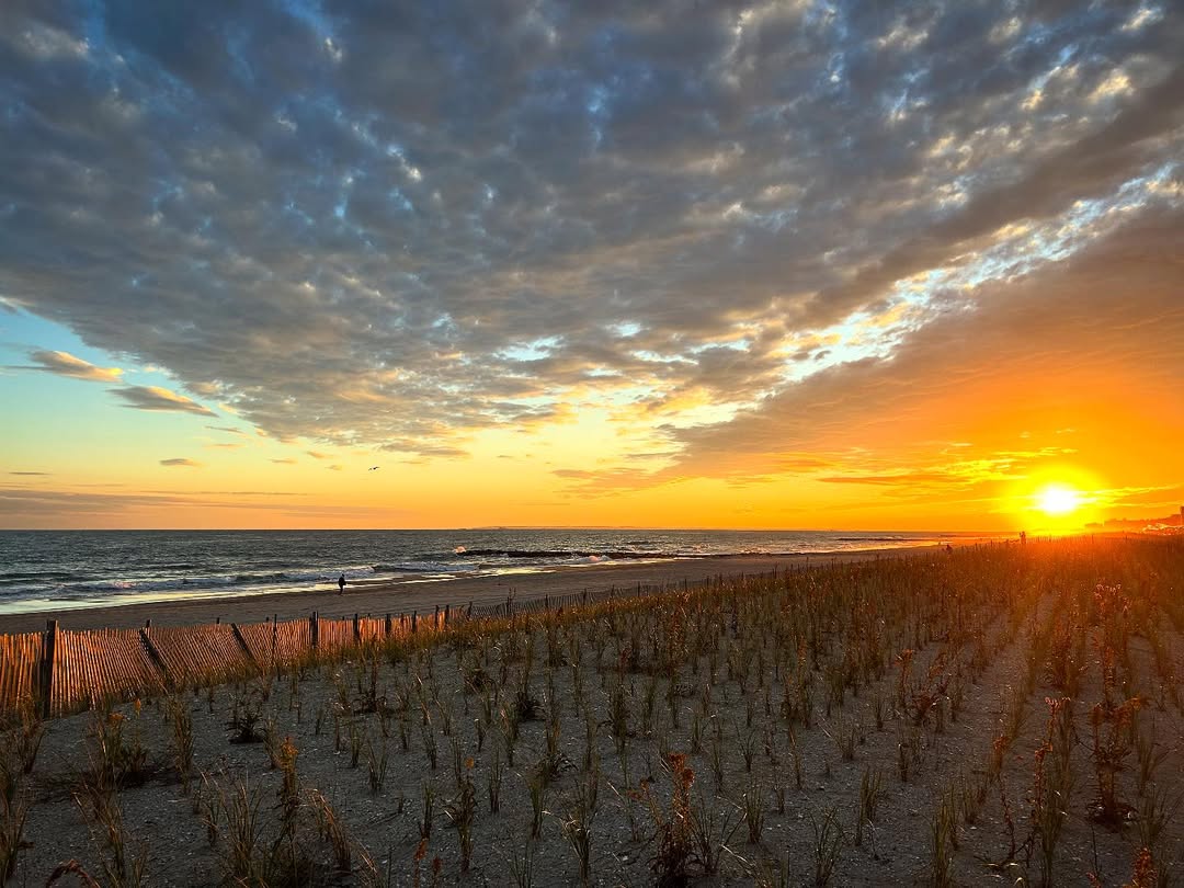 Beth Perkins Nov. 25