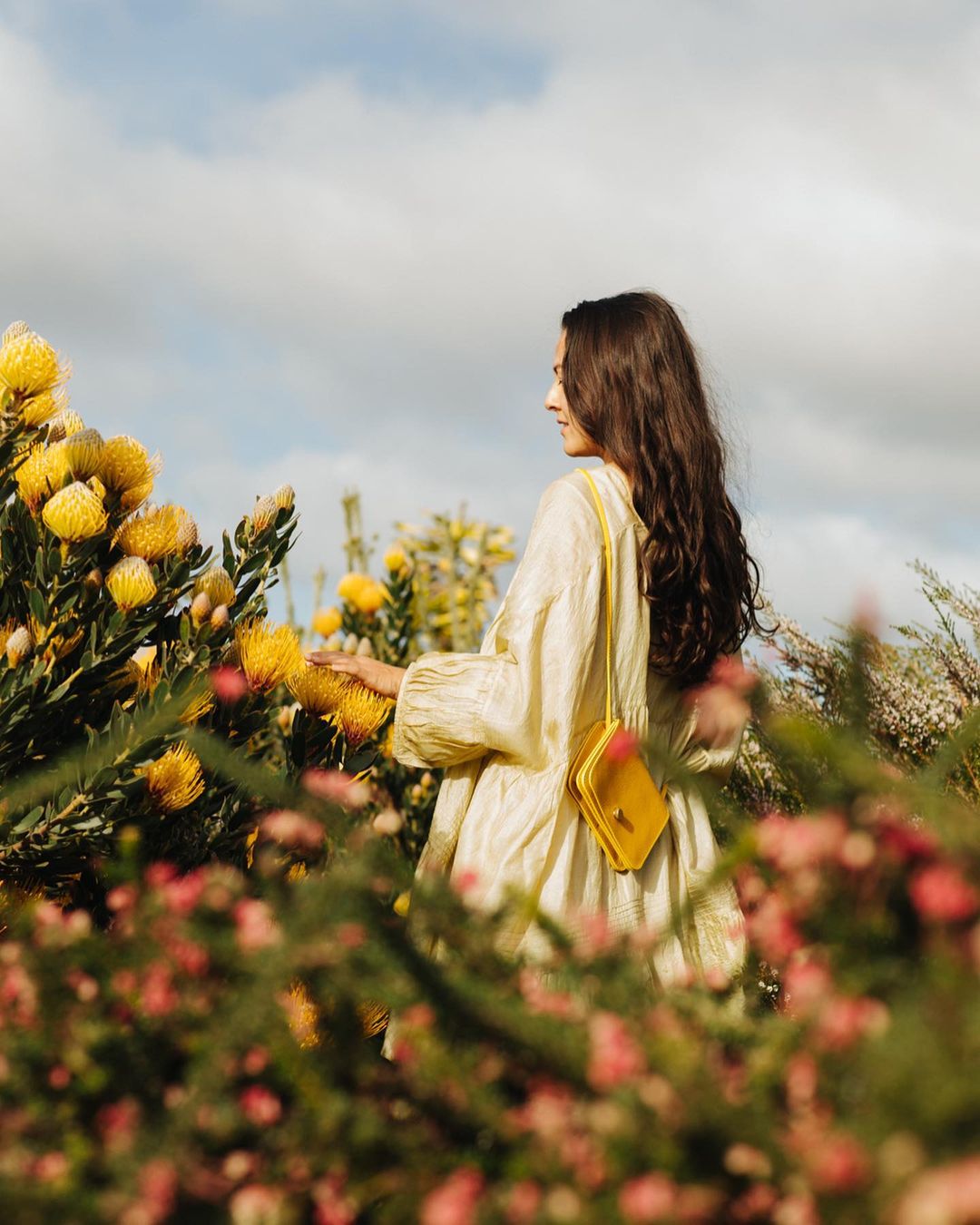 Lindquist Object |  Mar. 23