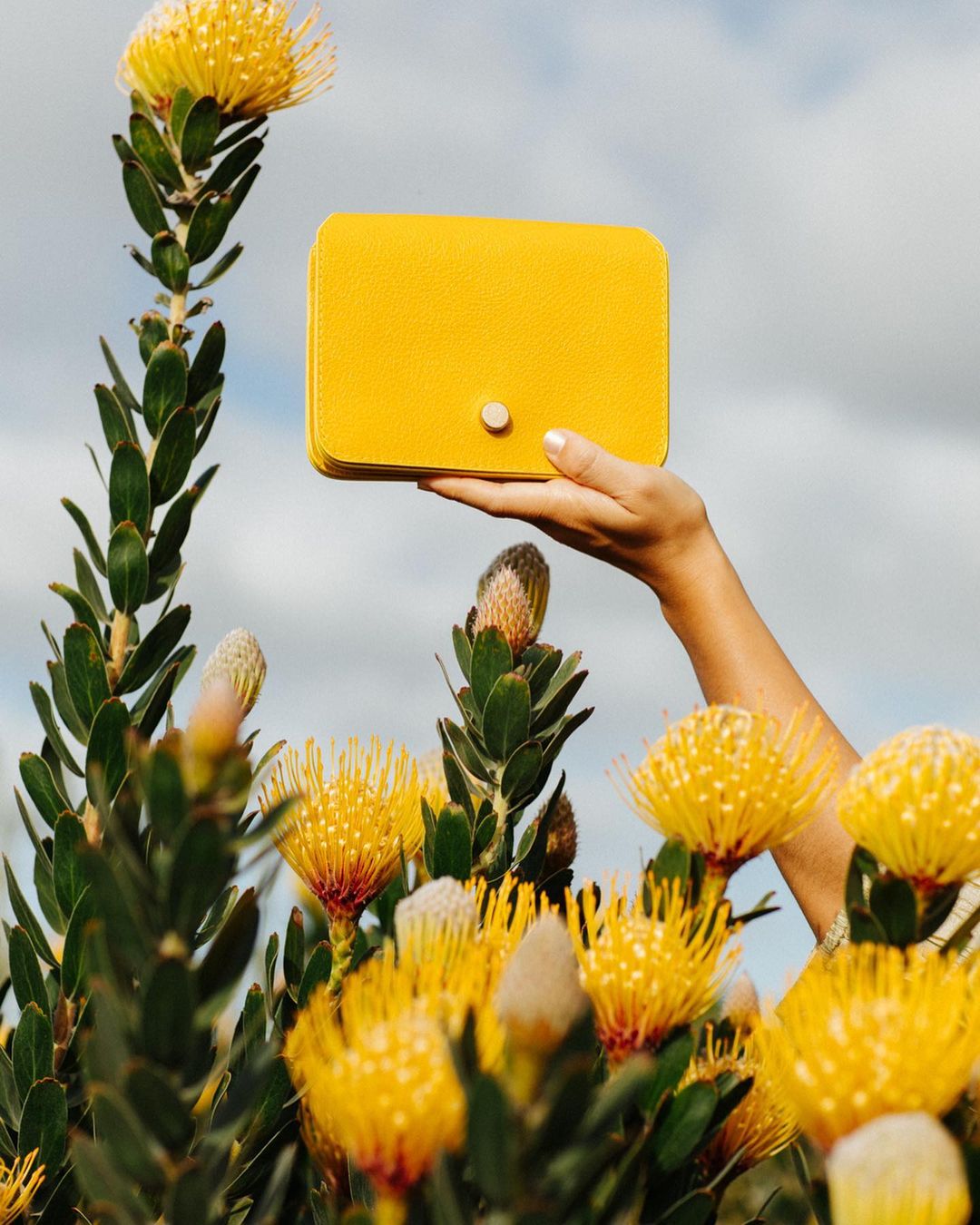 Lindquist Object |  Mar. 23