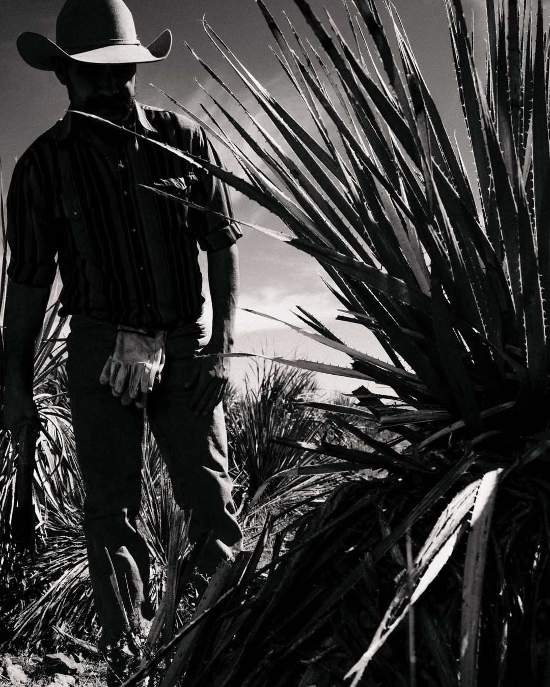 Johnny Autry