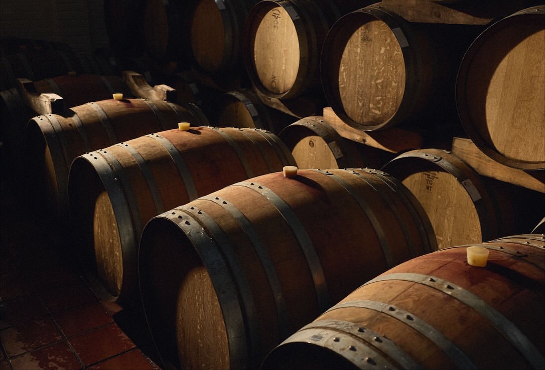 Moritz Leisen X High Constantia Wine Cellar