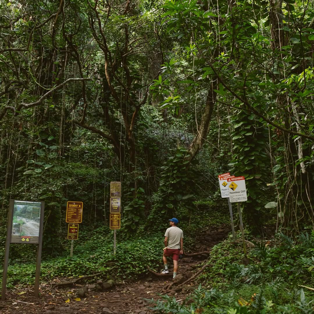 Daeja Fallas X The New York Times Nov. 25