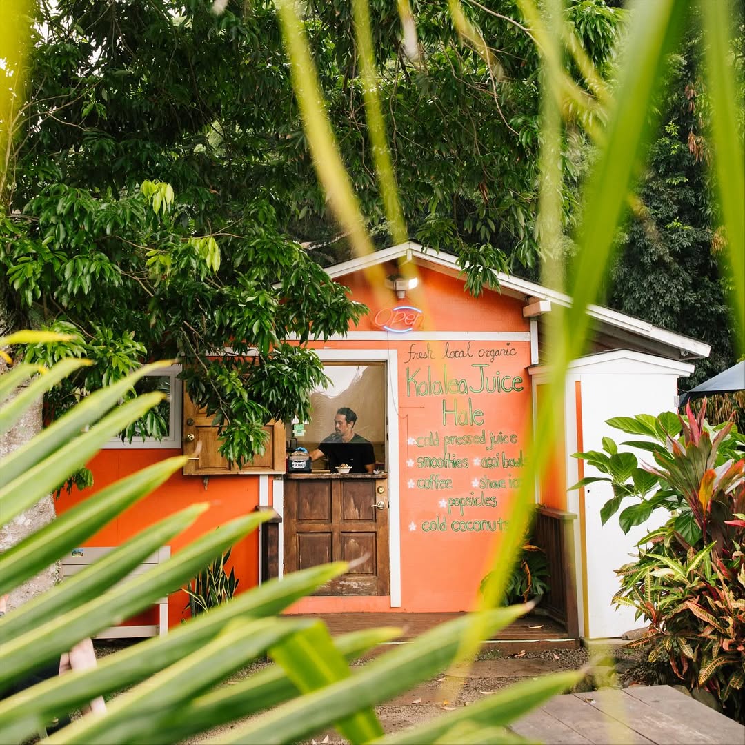 Daeja Fallas X The New York Times Nov. 25