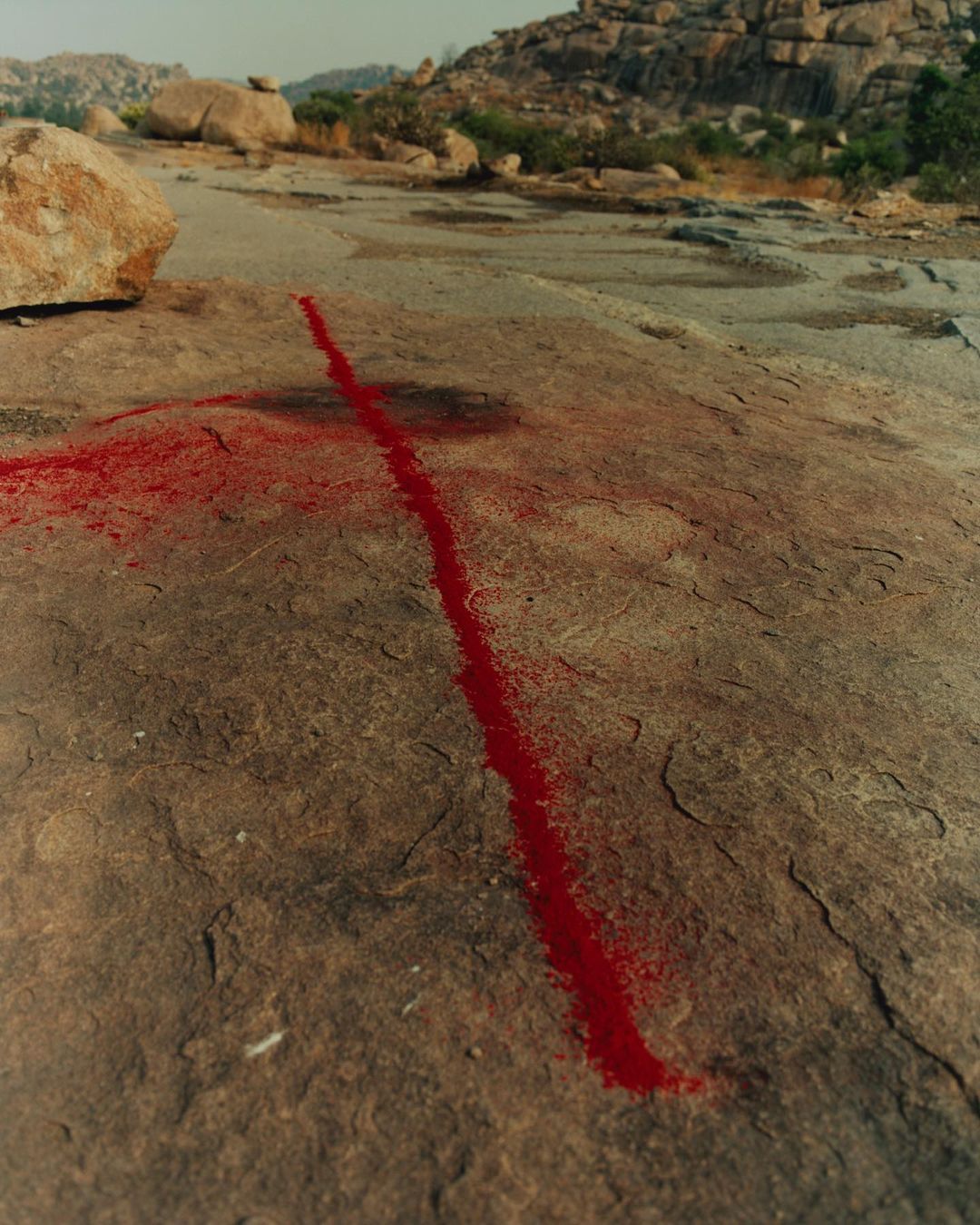 T Magazine |  Aug. 23