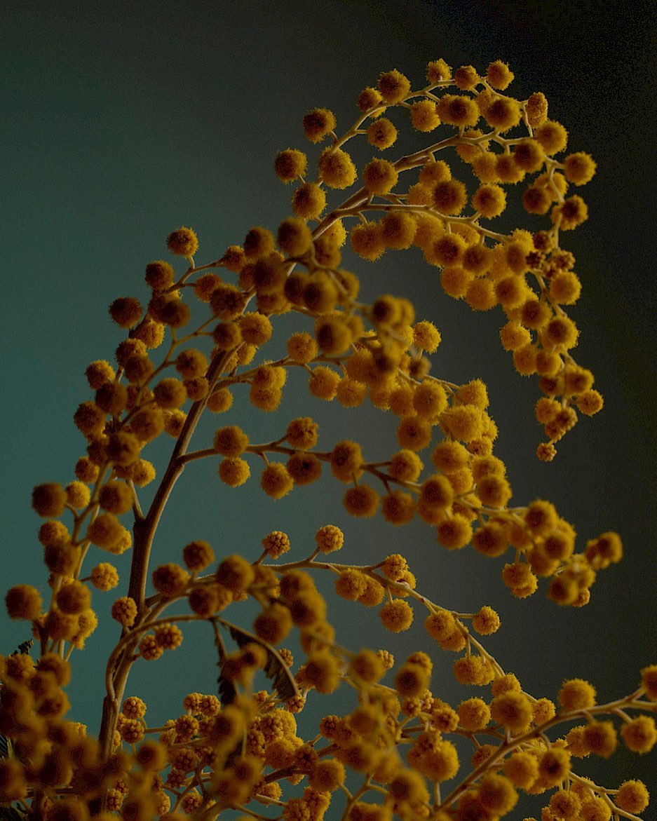 Human shift Paper |  Sep. 22