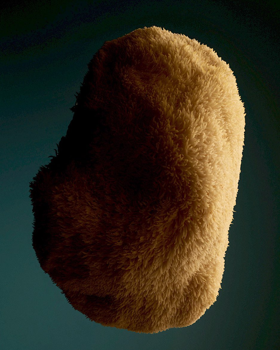 Human shift Paper |  Sep. 22