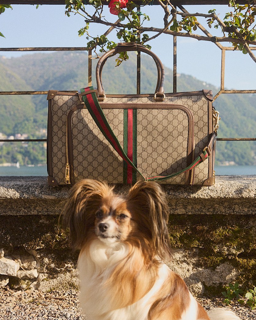 MyTheresa |  Sep. 22