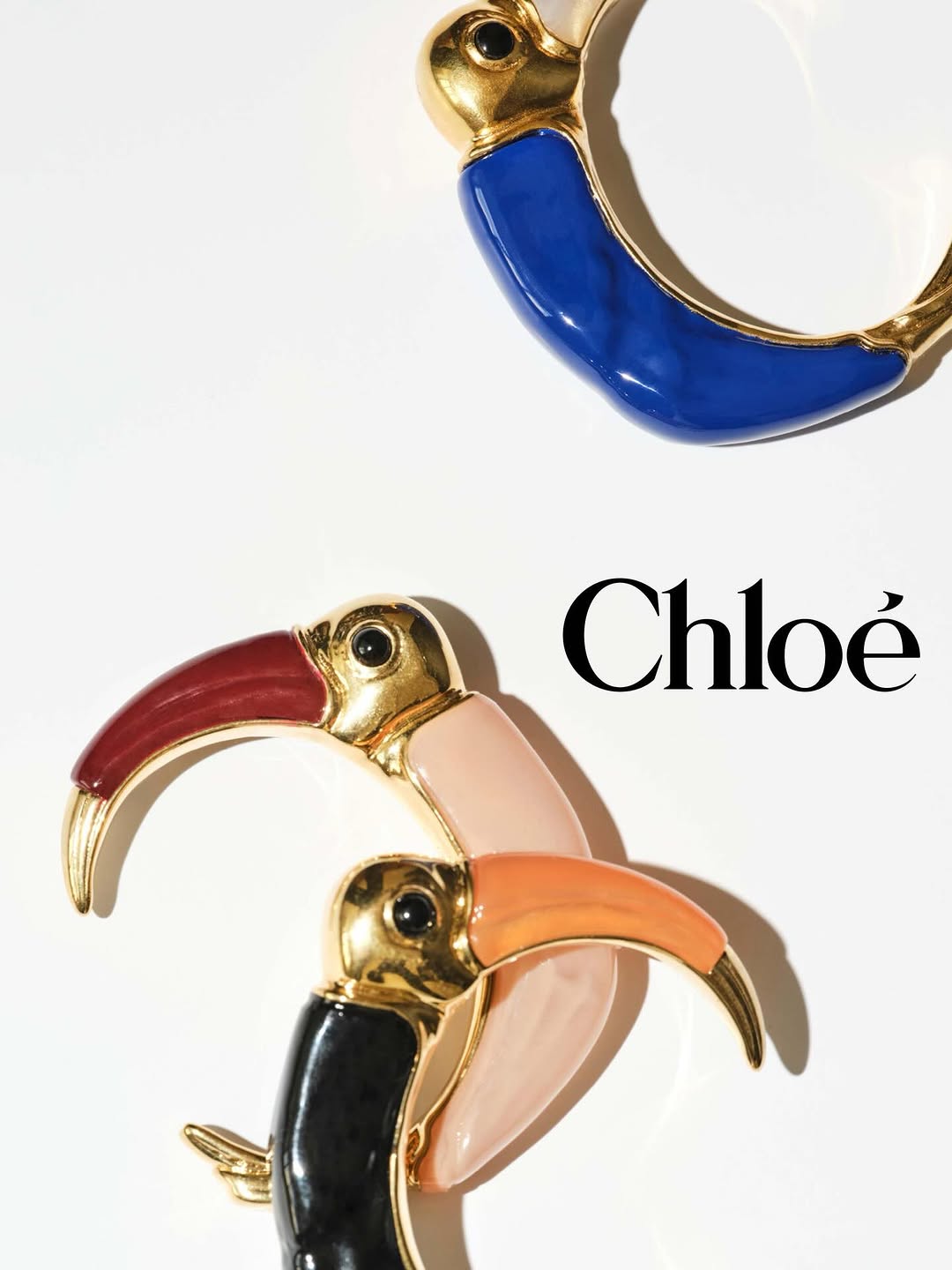 Ilaria Orsini X Chloé