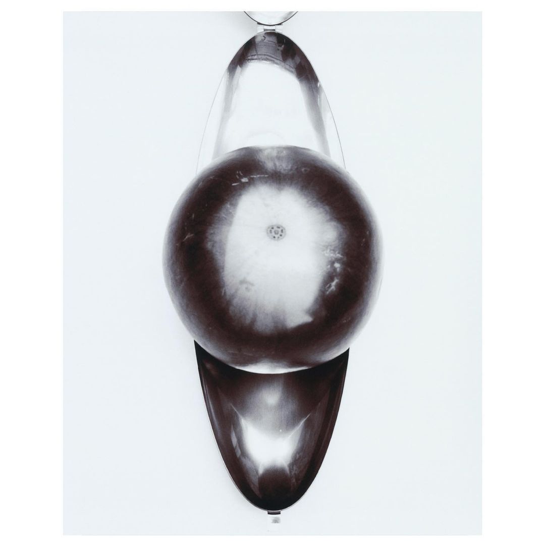 D la Repubblica |  May. 22