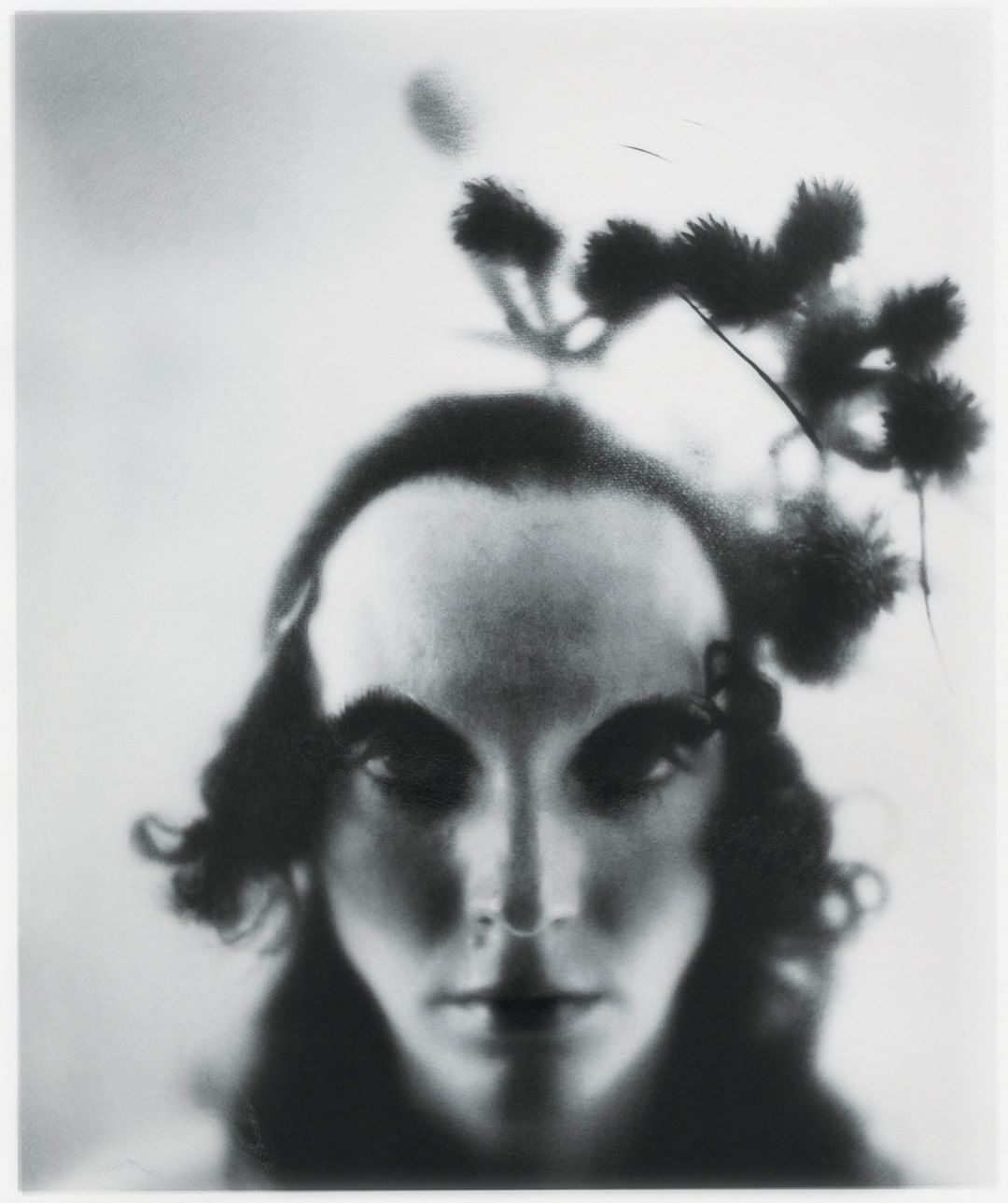 Boe Marion