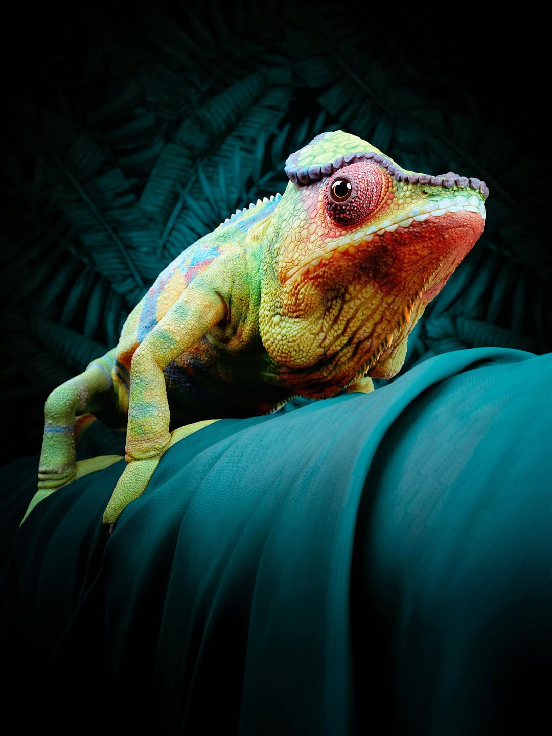 slider image