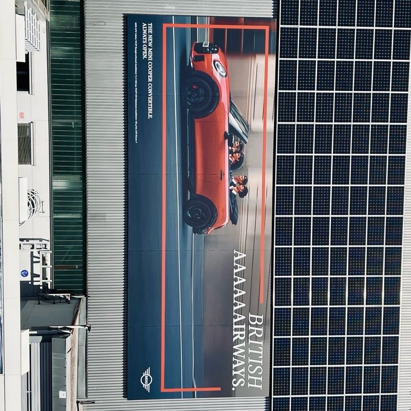 David Maurer X Mini