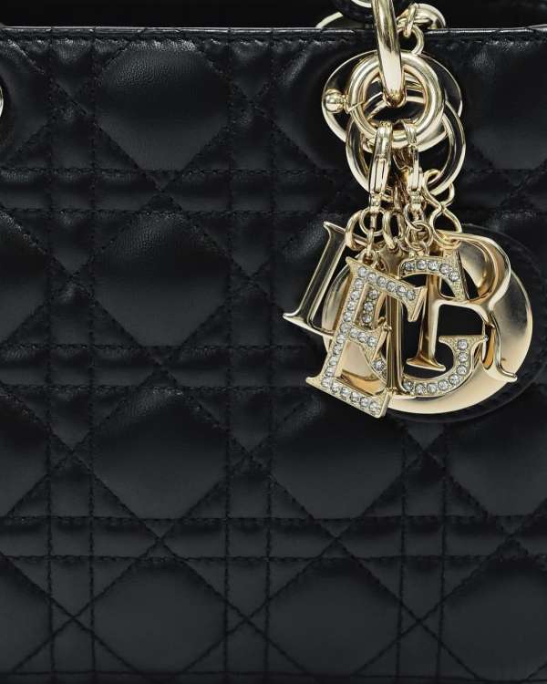 @dior lucky charm capsule aw25⁣