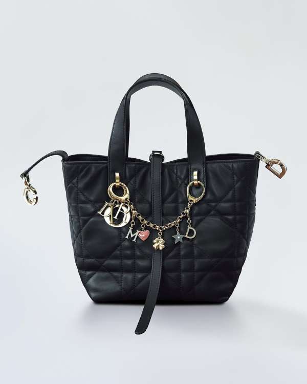 @dior lucky charm capsule aw25⁣
