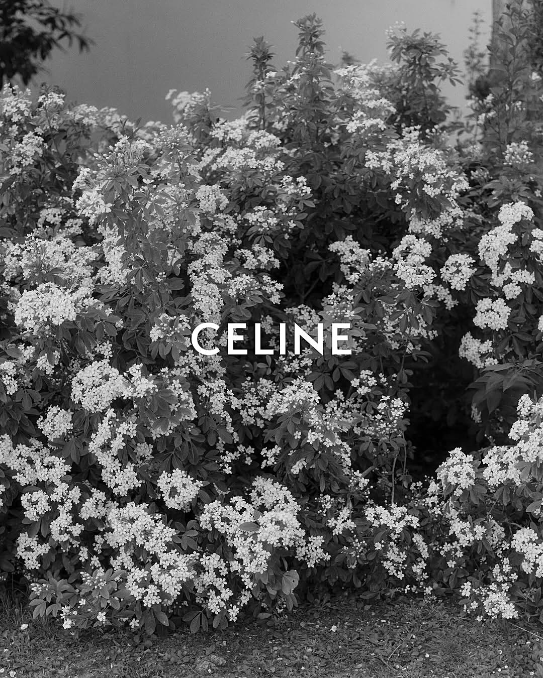 @celine winter 2025⁣⁣⁣
⁣⁣⁣
Photographer @karimsadli ⁣⁣⁣
Creative Direction @charleslevai @kevintekinel⁣ @may_be⁣⁣
Creative Image & Casting Director @samuel_ellis⁣⁣⁣
Stylist @brian__molloy⁣⁣⁣
Videographer @romawygas⁣⁣⁣
Still Life Photographer @joaquinlaguinge⁣⁣⁣
Models @jacquilouise__ @rayssapmedeiros @_elinag_ ⁣
Hair @duffy_duffy⁣⁣⁣
Makeup @lucia_pieroni⁣
Nails @amaquashie⁣
Set Design @alexanderbockstudio⁣⁣⁣
Production #brachfeld⁣⁣⁣
⁣⁣⁣
Special thanks to : @clement_camaret #clementbeauperin @paranoid_angel_999 @nicozromero @mercury_turnpike #sachadoinel @georgio_jack @raphaelle_misrahi #faycaldaki @nom_dutilisatrice001
