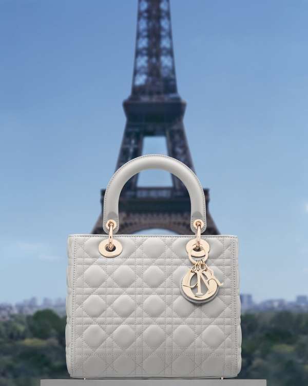 @dior lady dior around the world⁣