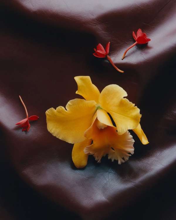 @dior SS 2026 haute couture