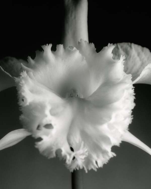 @dior SS 2026 haute couture