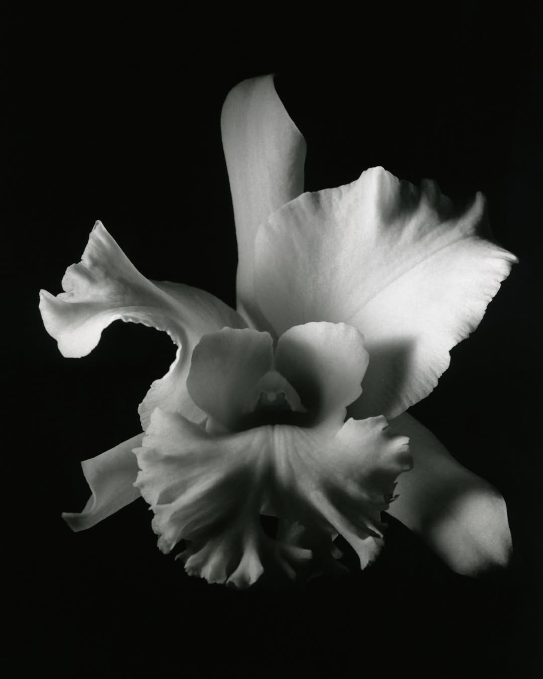 @dior SS 2026 haute couture