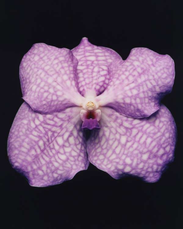 @dior SS 2026 haute couture