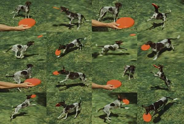 @hermes le monde d’hermès n°89