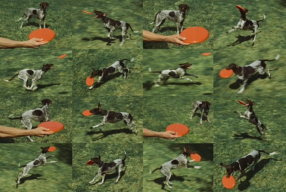 @hermes le monde d’hermès n°89