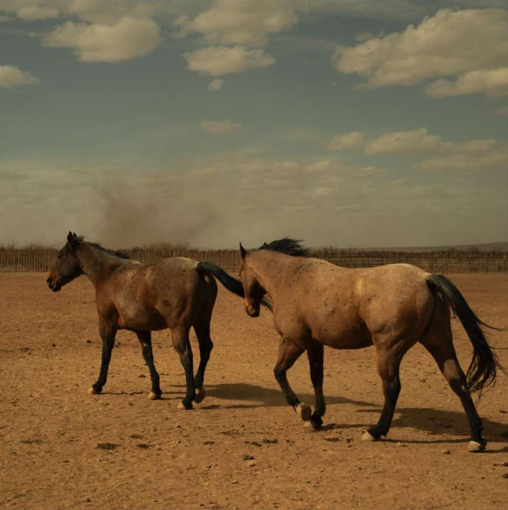 <a href="/brian-finke">Brian Finke</a> <span style="text-transform: none; white-space: nowrap;">Feb. 26</span>