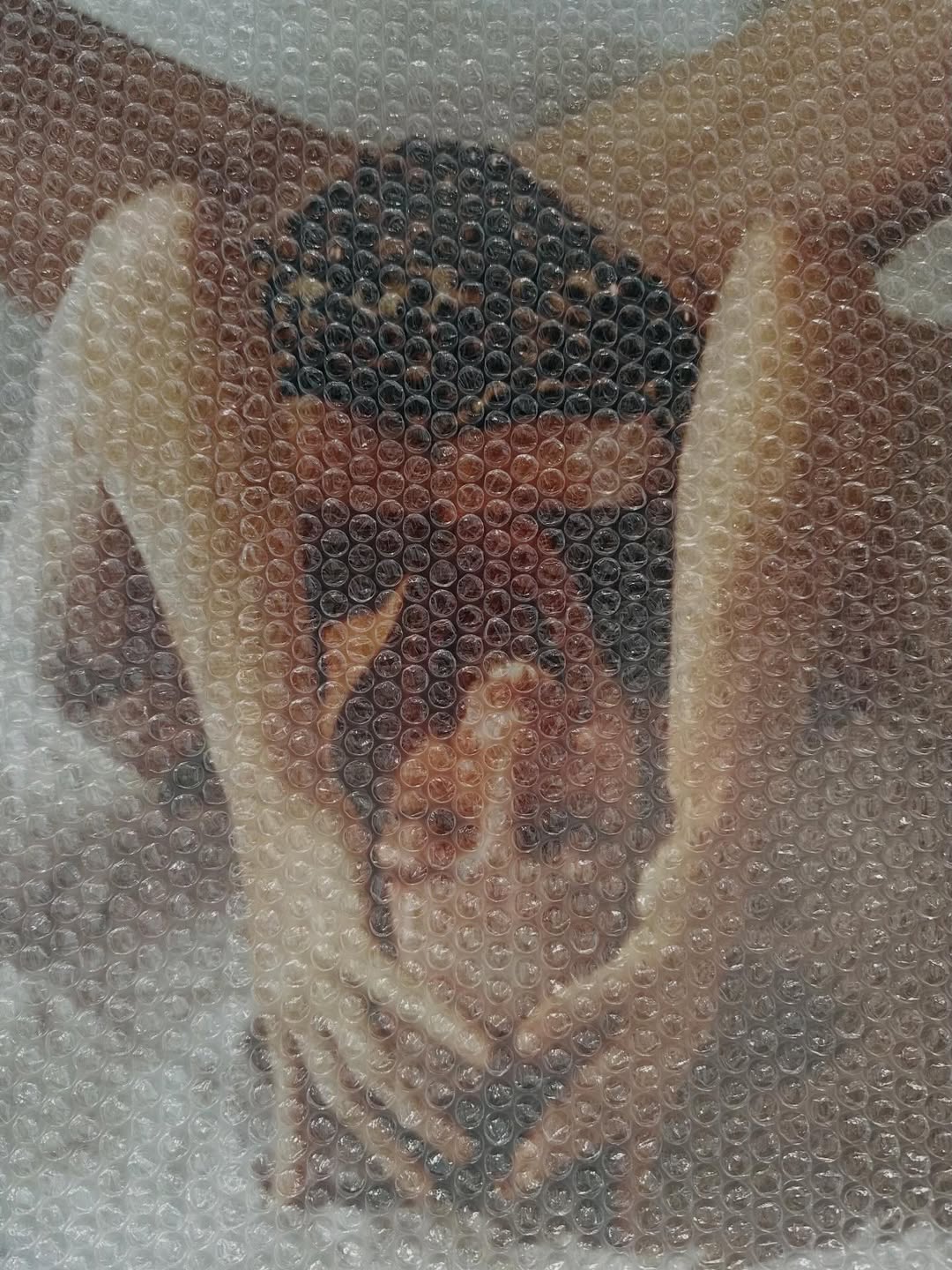 Brianna Capozzi X Primary Photographic