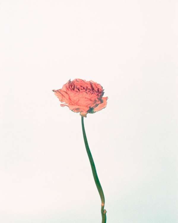 Philippe Billemont