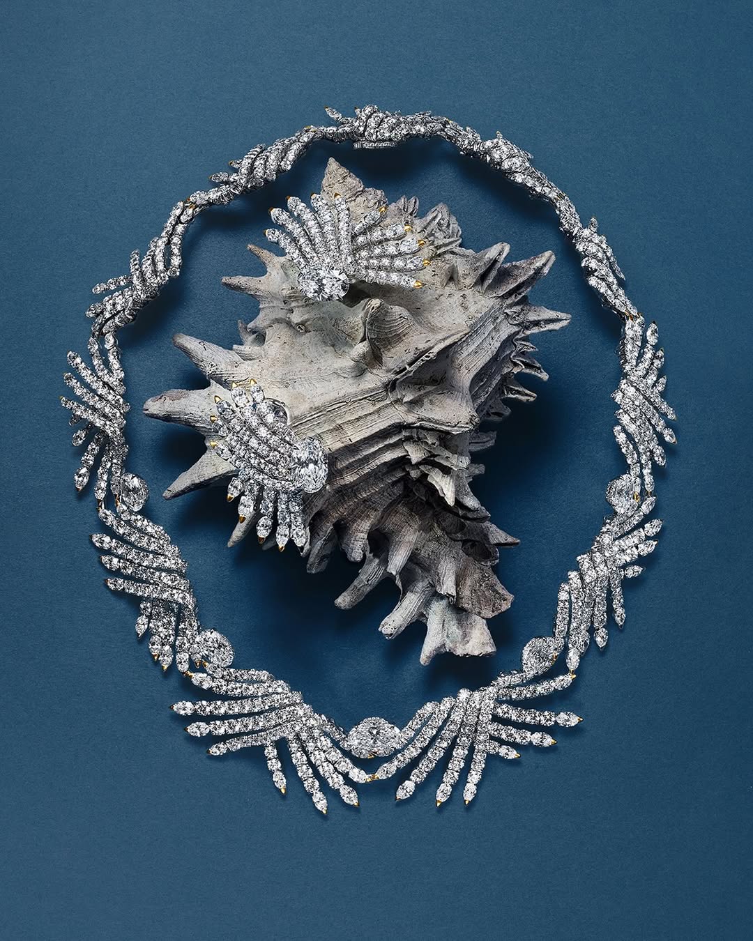 <a href="/eric-degrange">Eric Degrange</a> X Tiffany &#038; Co. <span style="text-transform: none; white-space: nowrap;">Oct. 25</span>