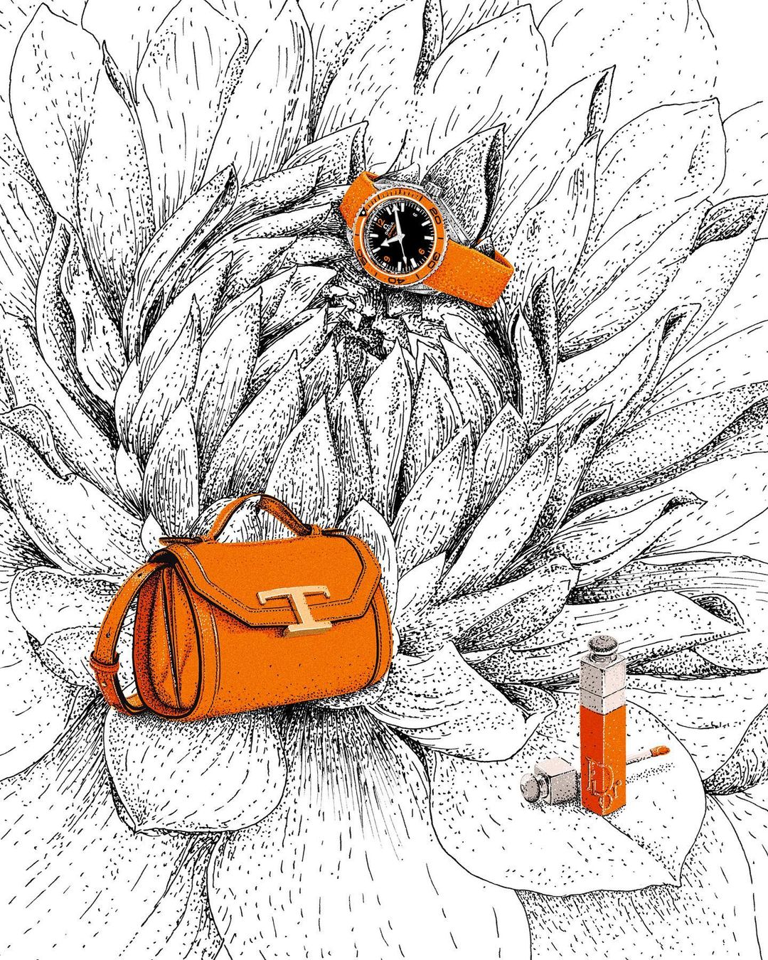 SILHOUETTE |  Jun. 23