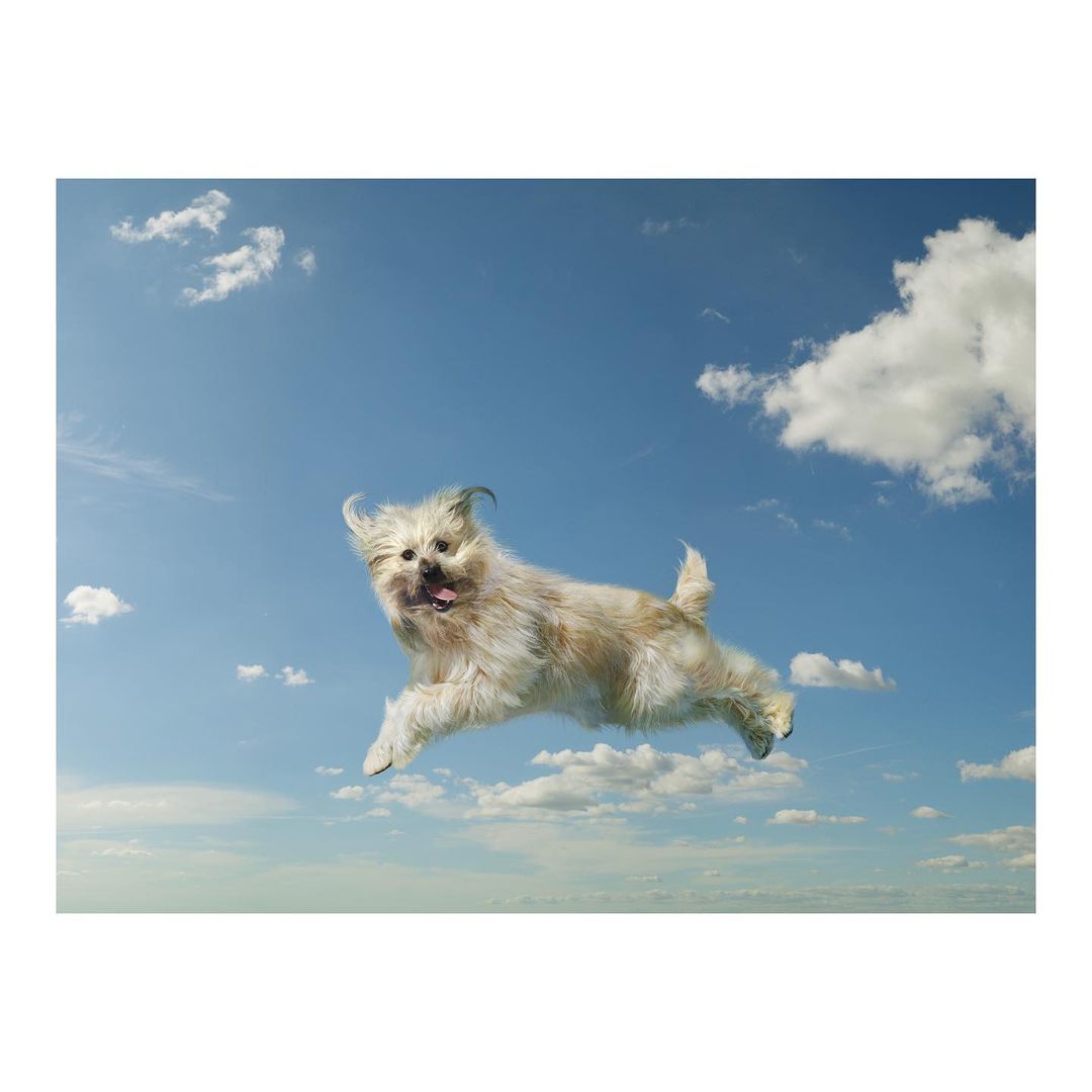 The Observer Magazine |  Jul. 21