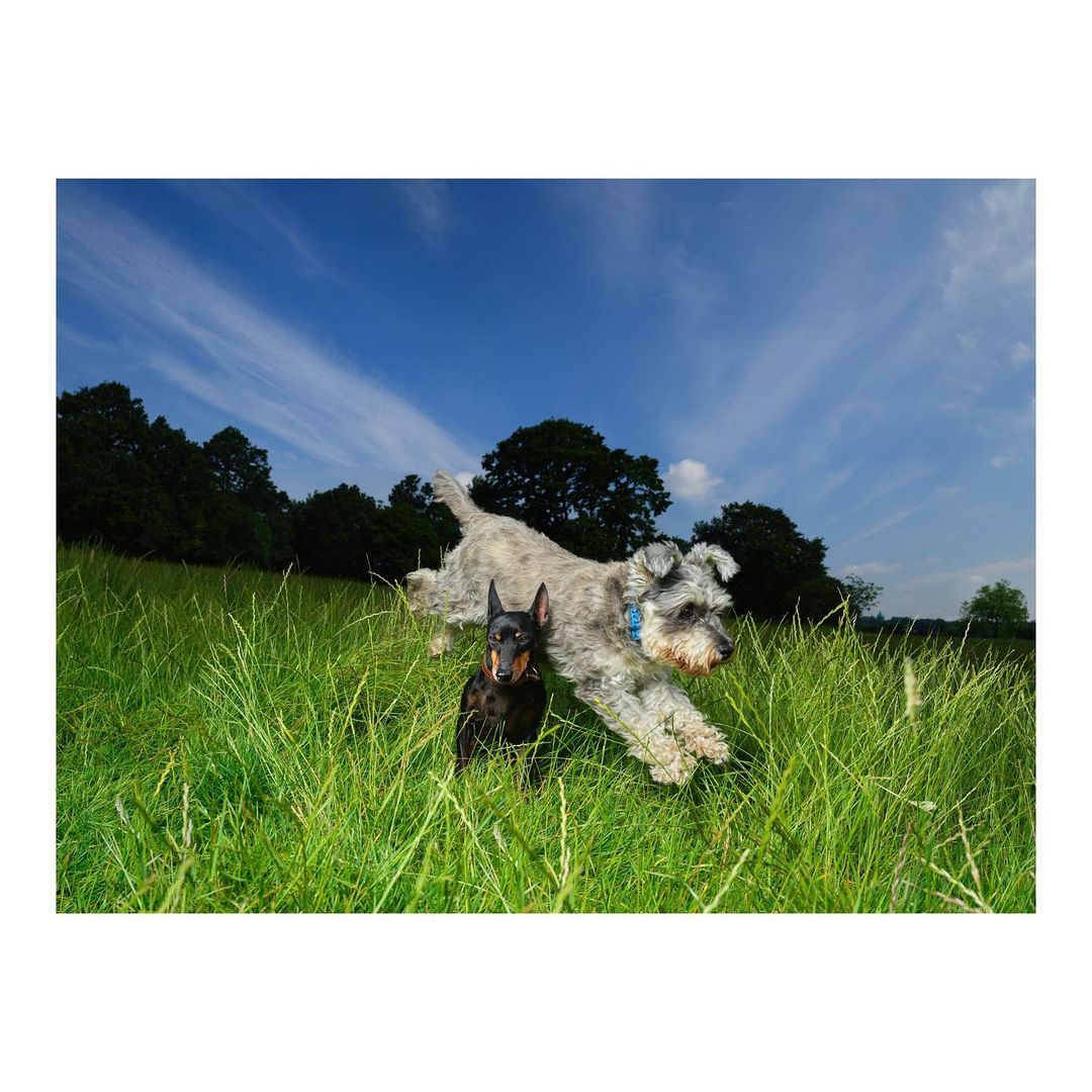 The Observer Magazine |  Jul. 21