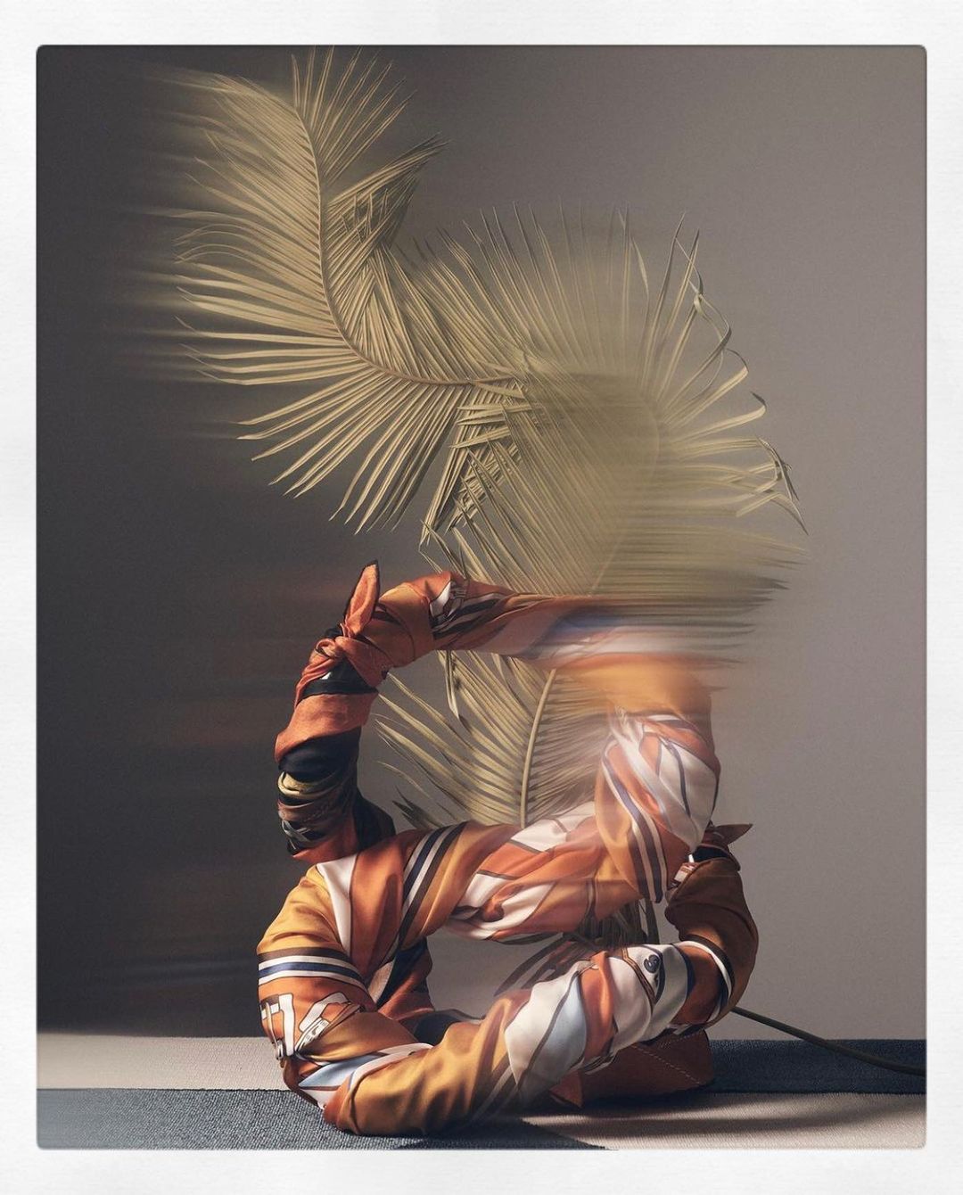 Hercules Casa |  Nov. 20