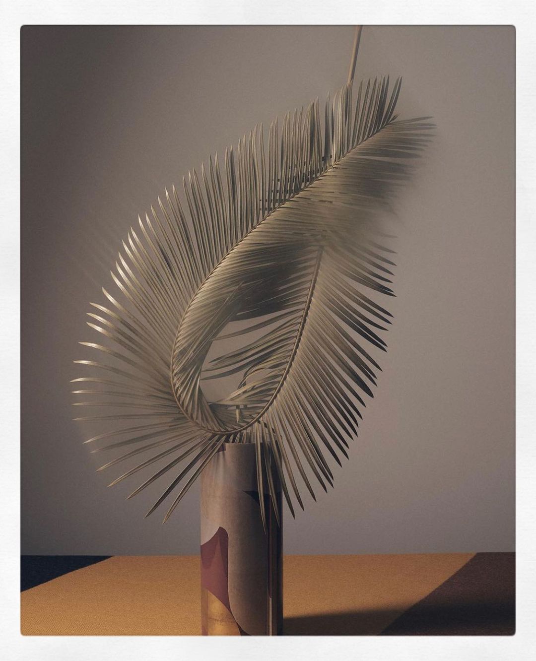 Hercules Casa |  Nov. 20