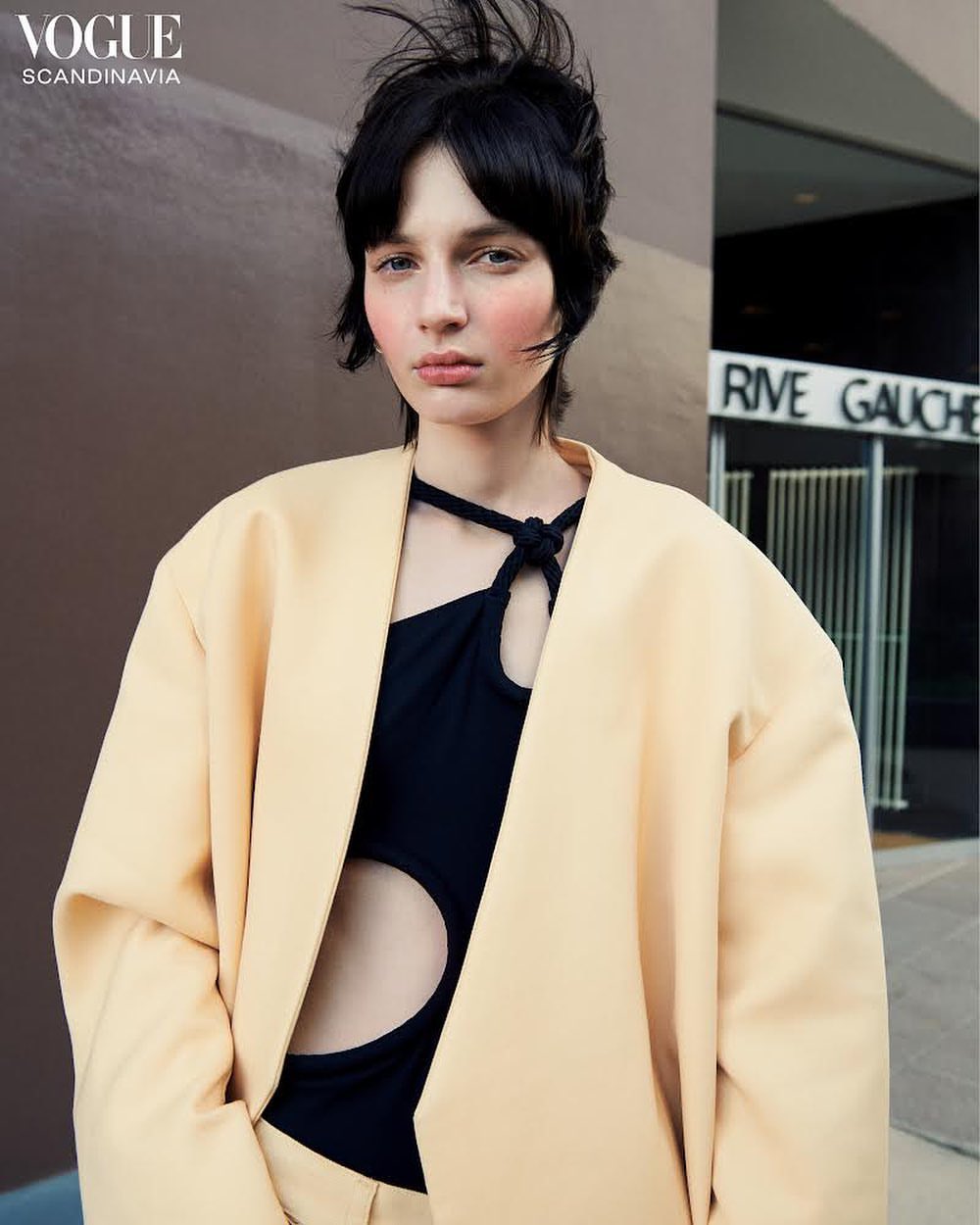 Vogue Scandinavia |  Jun. 22