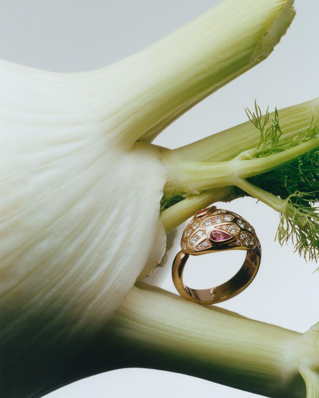 Vogue Scandinavia |  May. 23