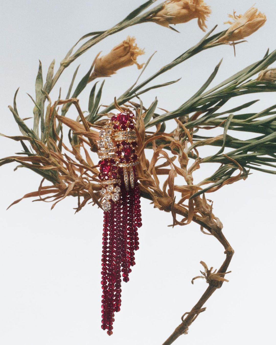 Wall Street Journal |  Jan. 24