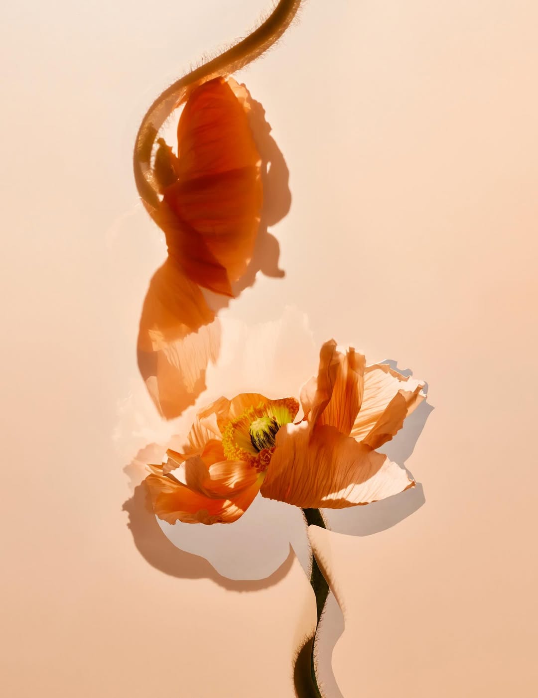  Apr. 26