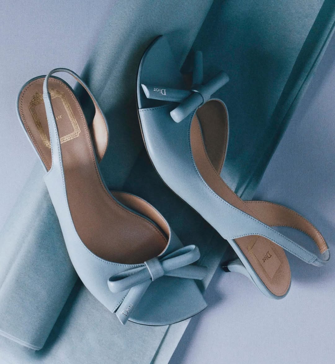 Jean-Marie Binet X Dior