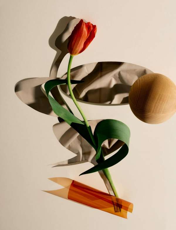 Kate Jackling