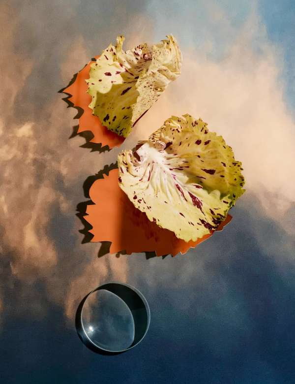 Kate Jackling