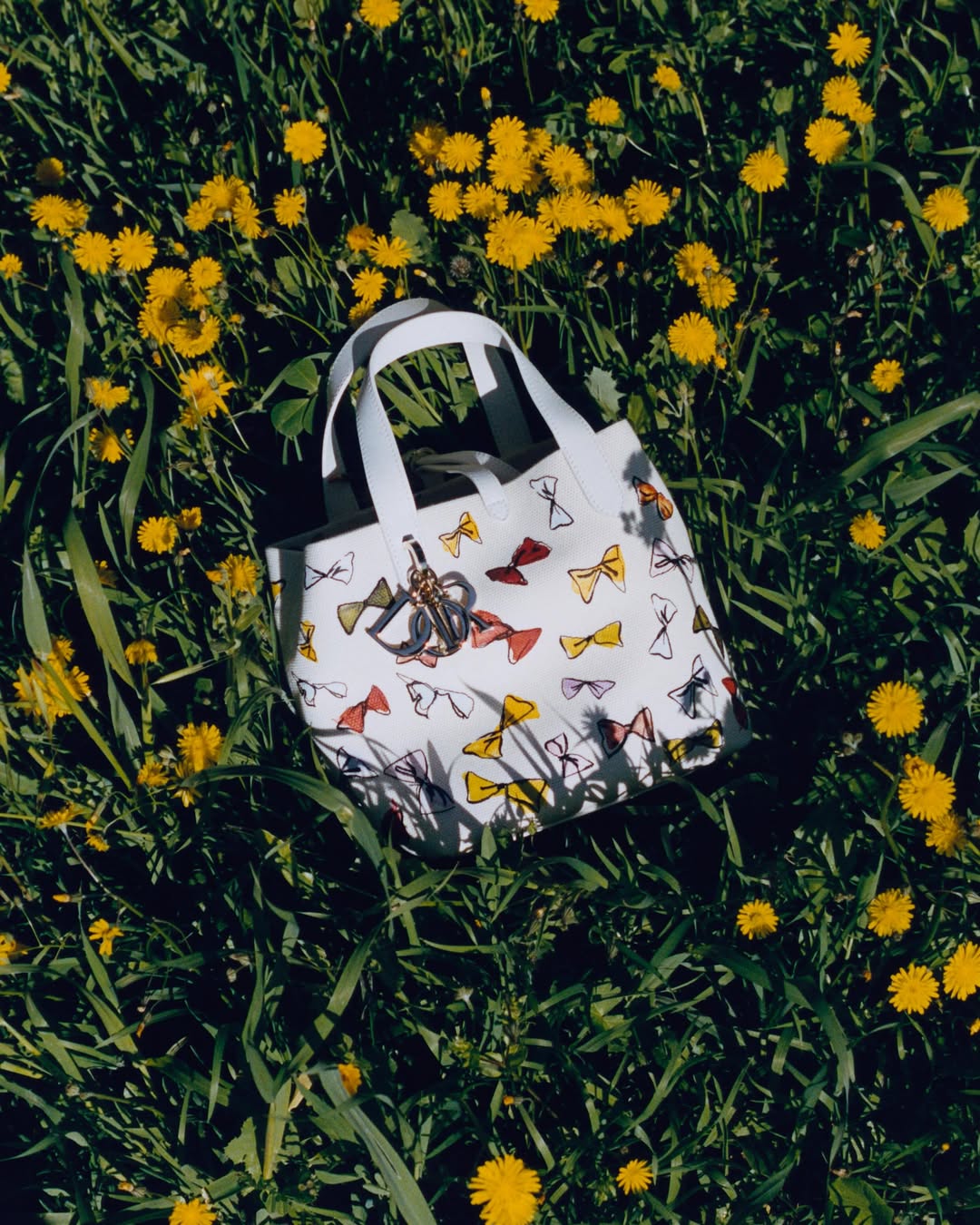 Jean-Marie Binet X Dior May. 26
