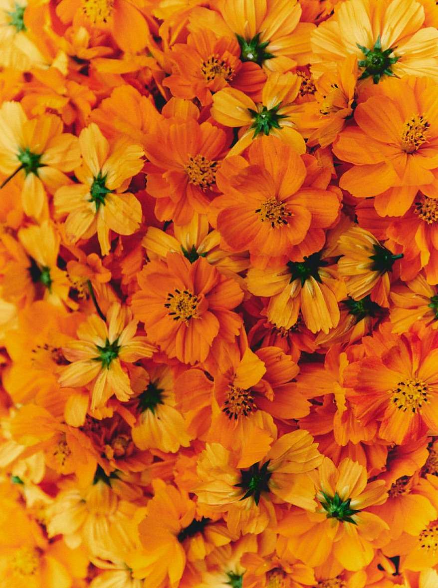 <a href="/caitlin-chescoe">Caitlin Chescoe</a> <span style="text-transform: none; white-space: nowrap;">Oct. 25</span>