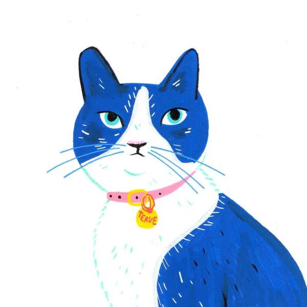 Camille de Cussac