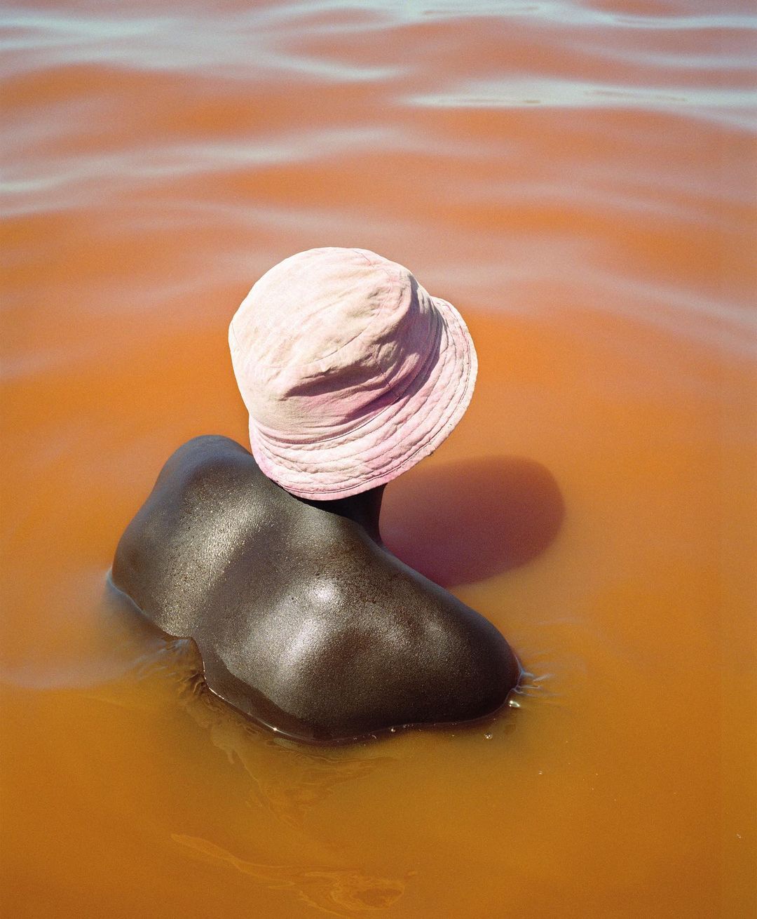 Witty Books |  Dec. 23